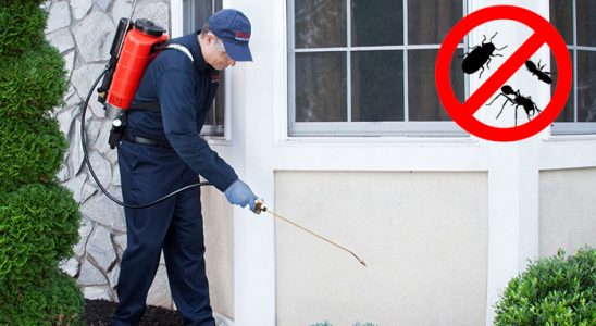 Güce Bit İlaçlama böcek ilaçlama ve haşere kontrolü — ilaclama-tr.com